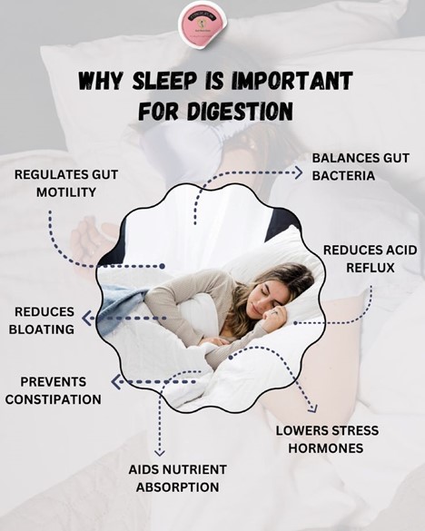 Gut Health and Fat Loss: What’s the Connection? Gut Care and Sleep Effects