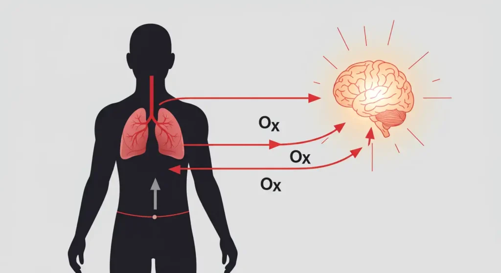 blood and oxygen